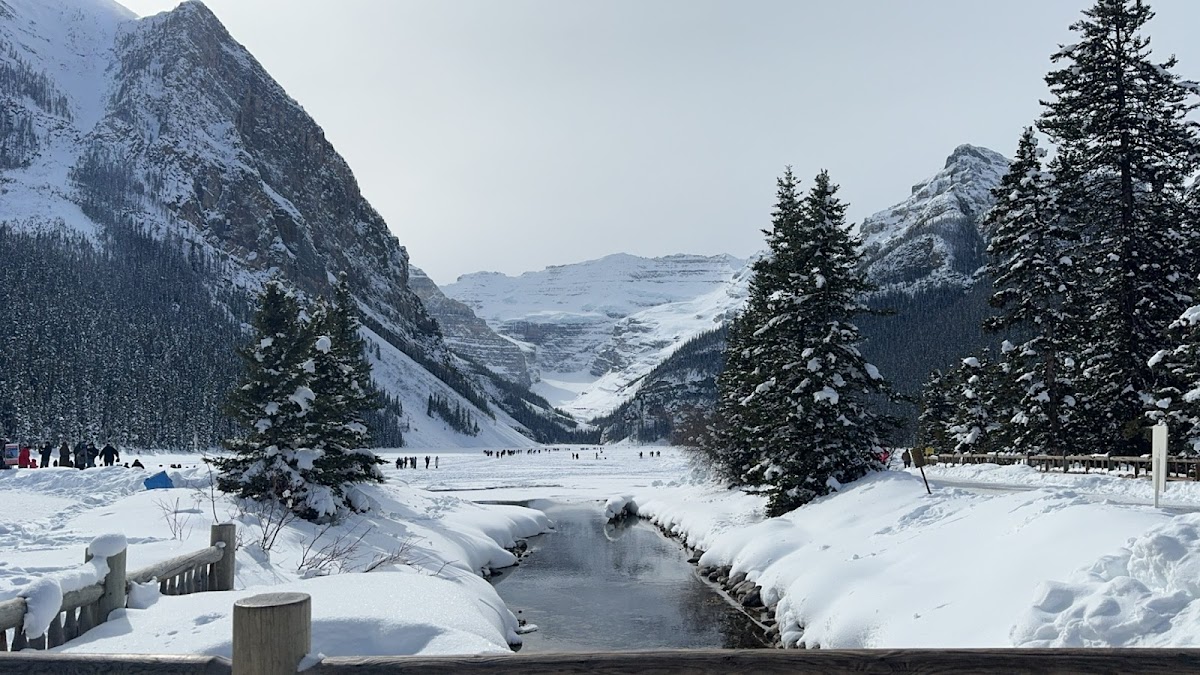 Lake Louise Ski Area Ltd